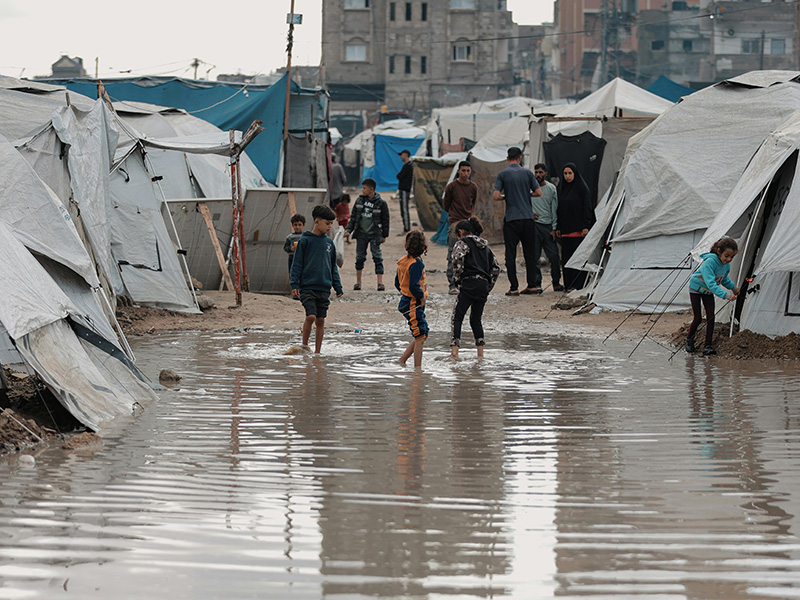 Level 1 – 3 Refugee 难民